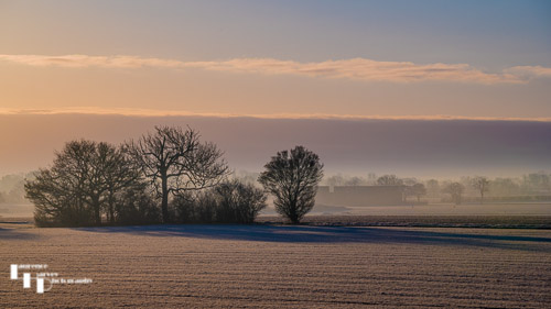 Frosty Dawn