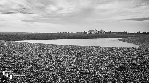 Cottages & lagoon at Shingle Street