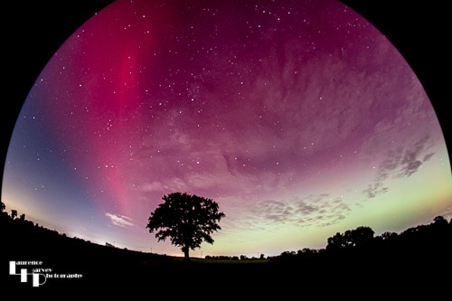 Looking west from lone tree across Sheepgate Lane (Fisheye)