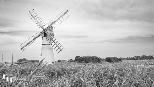 Thurne Mill