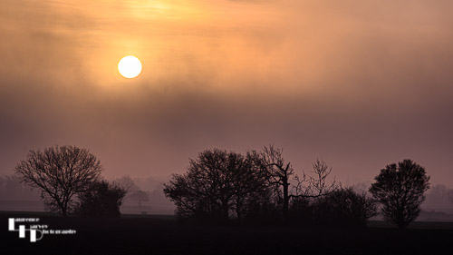 Misty Sunrise